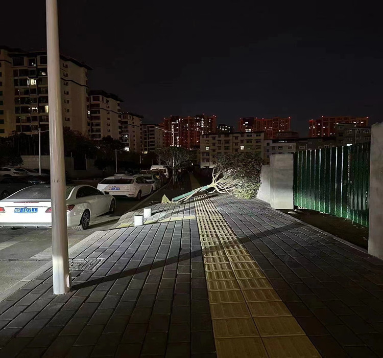 樹枝倒伏內(nèi)容圖_副本.jpg 樹枝倒伏內(nèi)容圖_副本.jpg