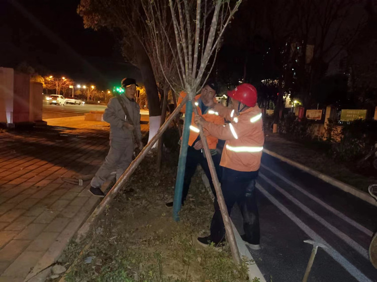 扶樹_內(nèi)容圖副本.jpg 扶樹_內(nèi)容圖副本.jpg