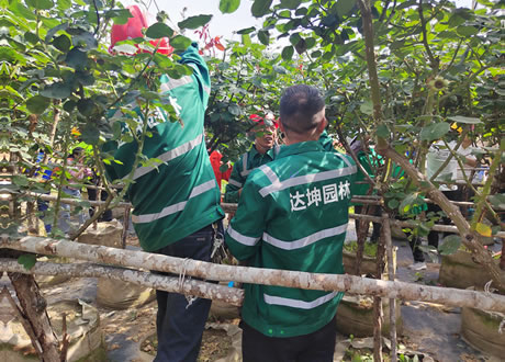 經(jīng)開區(qū)組隊參加全市首屆園林技能比武大賽獲優(yōu)秀獎