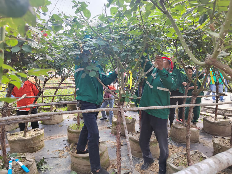 經(jīng)開(kāi)區(qū)組隊(duì)參加全市首屆園林技能比武大賽獲優(yōu)秀獎(jiǎng)